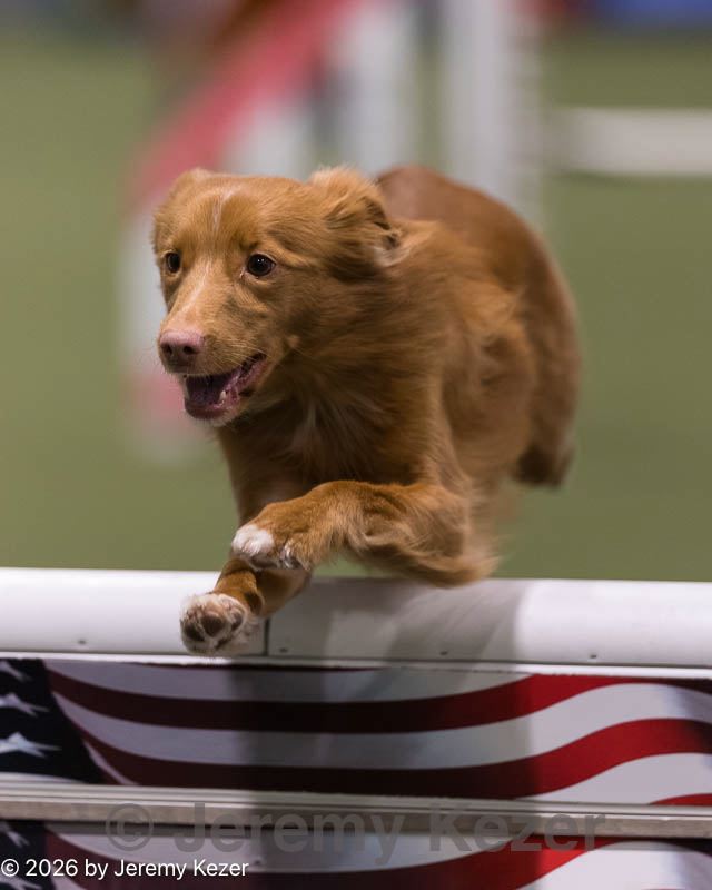 20260221-0134.jpg