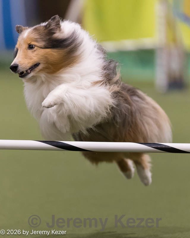 20260221-0136.jpg