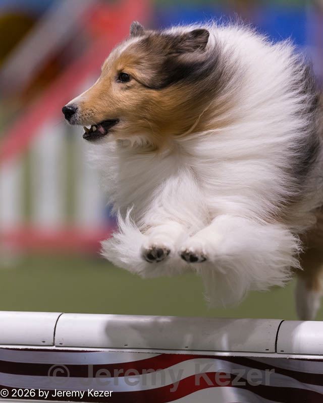 20260221-0137.jpg