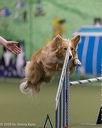 20260221-0179