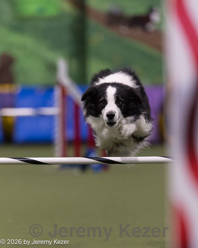 20260221-0140.jpg
