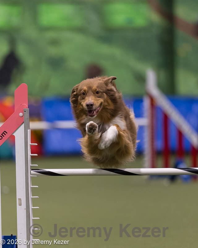 20260221-0147.jpg