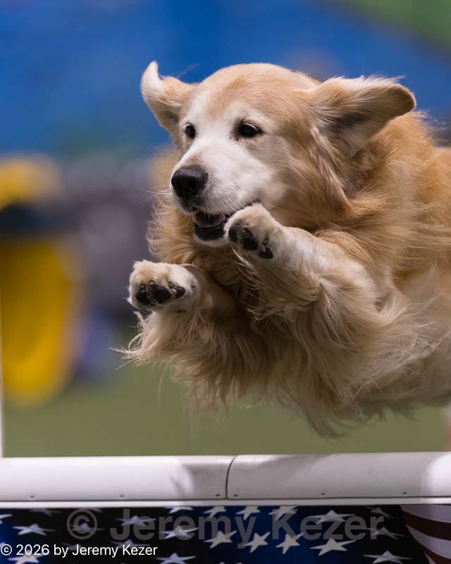 20260221-0174.jpg