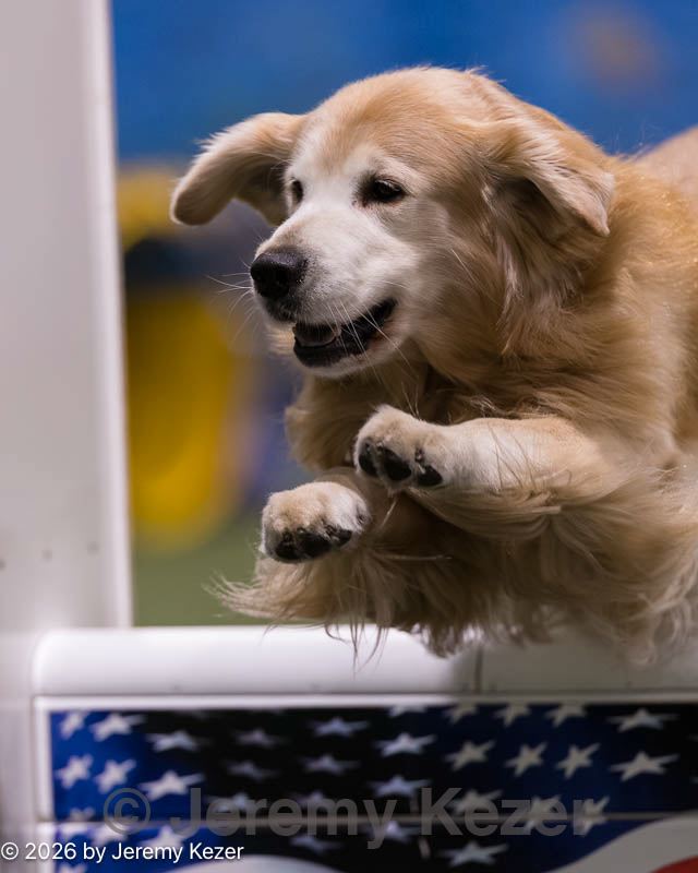 20260221-0175.jpg