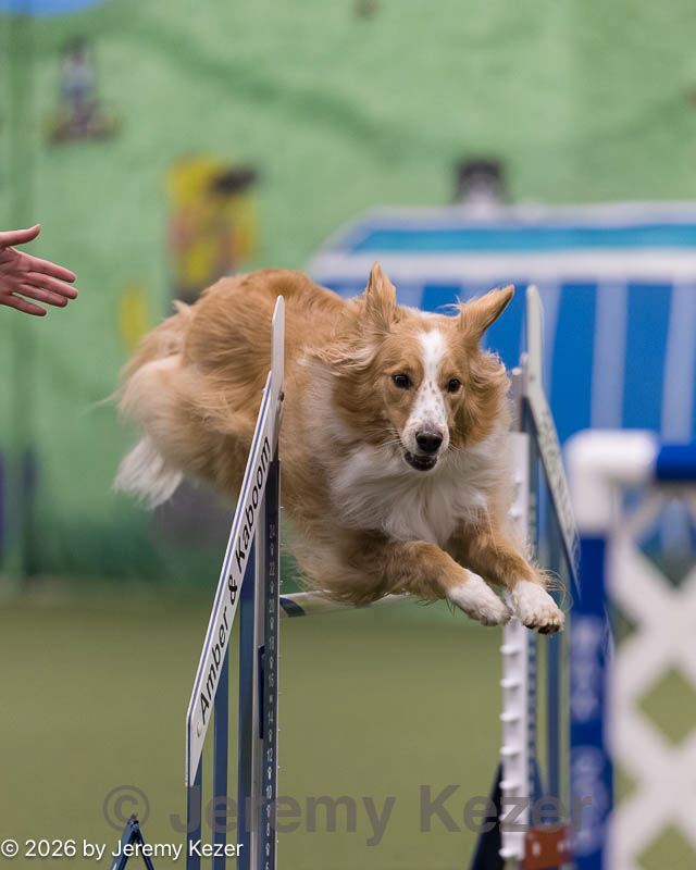 20260221-0180.jpg