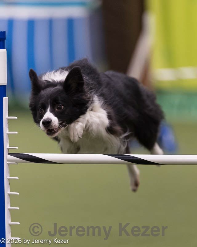 20260221-0202.jpg