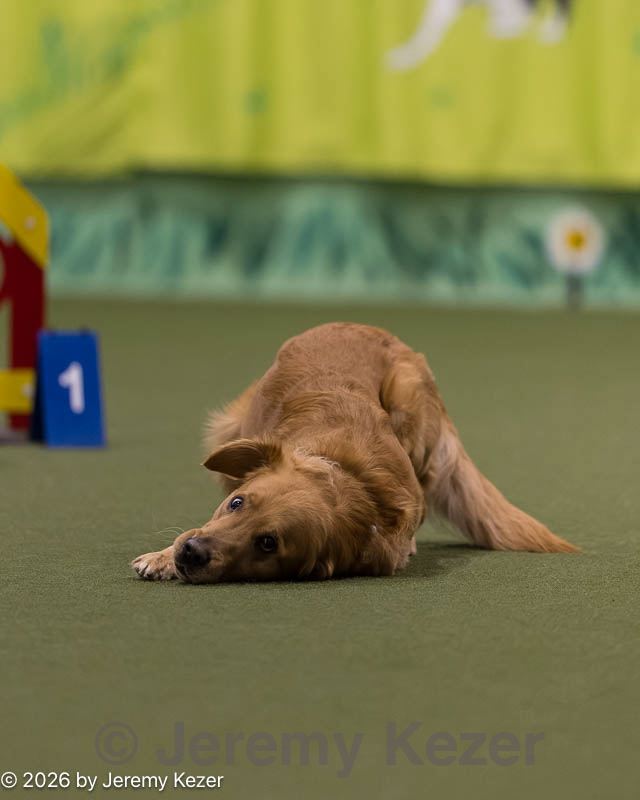 20260221-0205.jpg