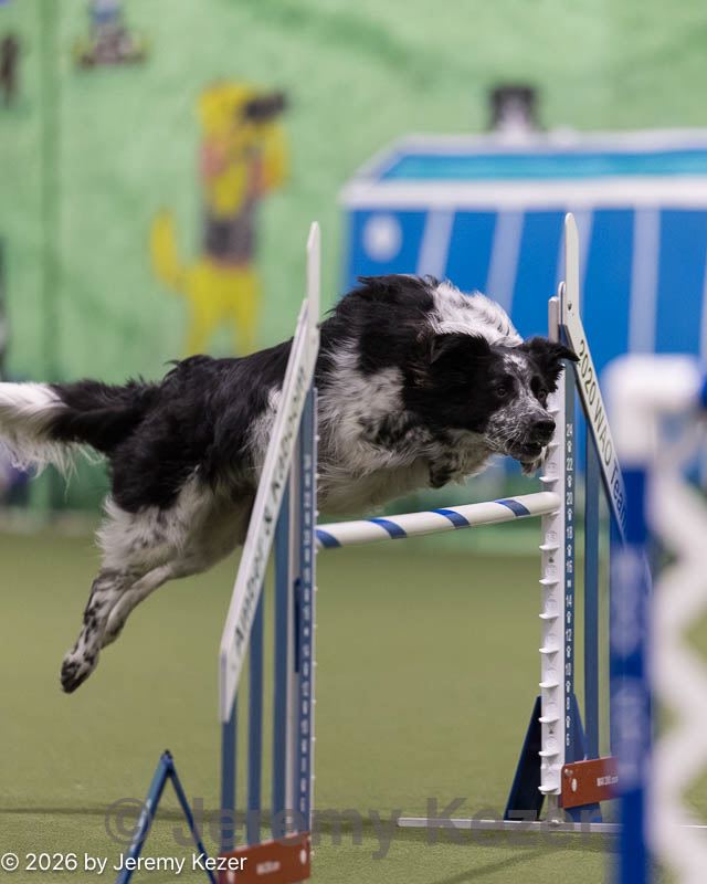20260221-0213.jpg