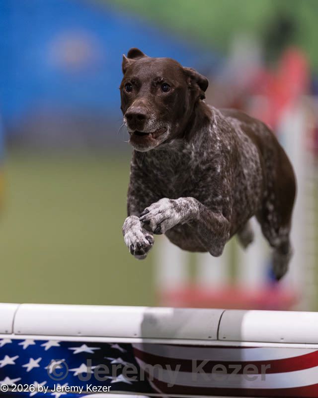20260221-0226.jpg
