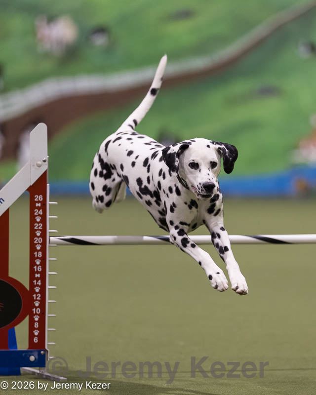 20260221-0287.jpg