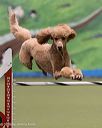 20260221-0321