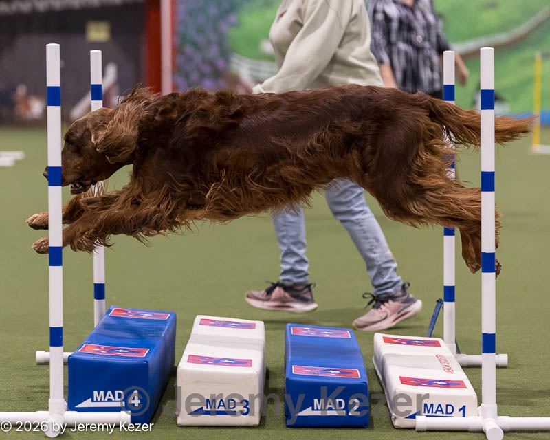 20260221-1149.jpg