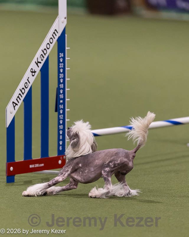 20260221-1001.jpg