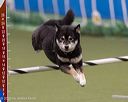 20260221-2098