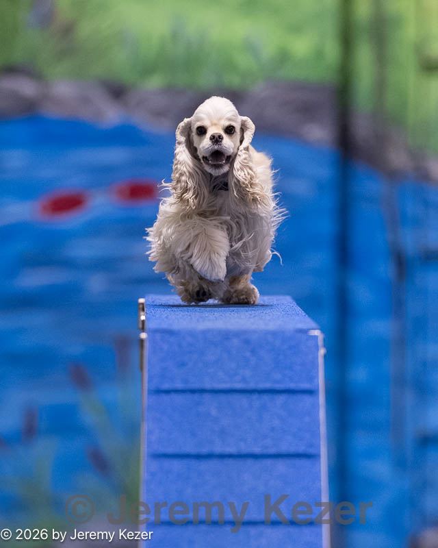 20260221-2111.jpg