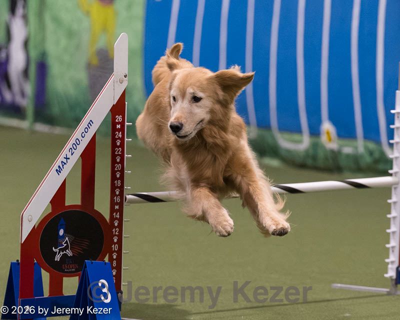 20260221-2177.jpg