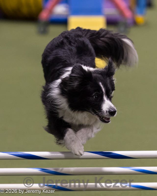 20260221-2216.jpg