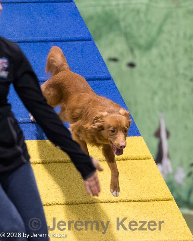 20260221-2239.jpg