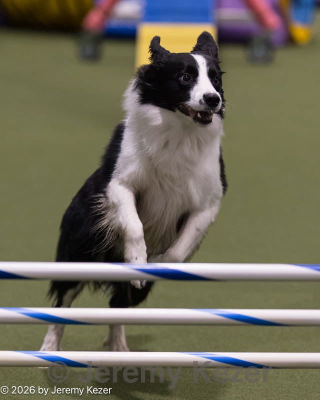 20260221-2334.jpg