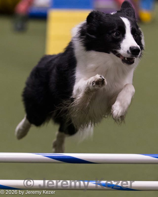 20260221-2335.jpg
