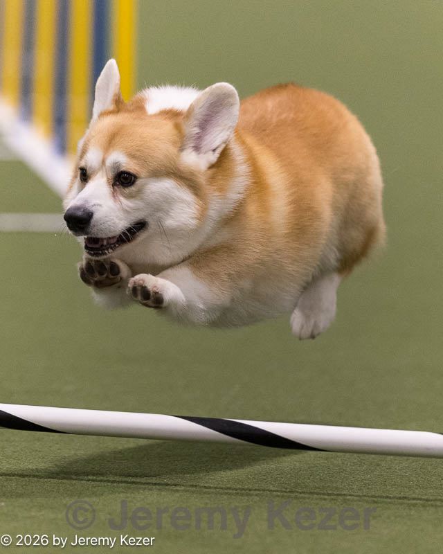 20260222-0536.jpg