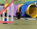 20260222-0479
