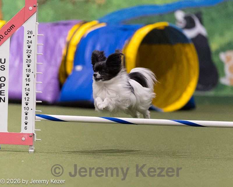 20260222-0504.jpg