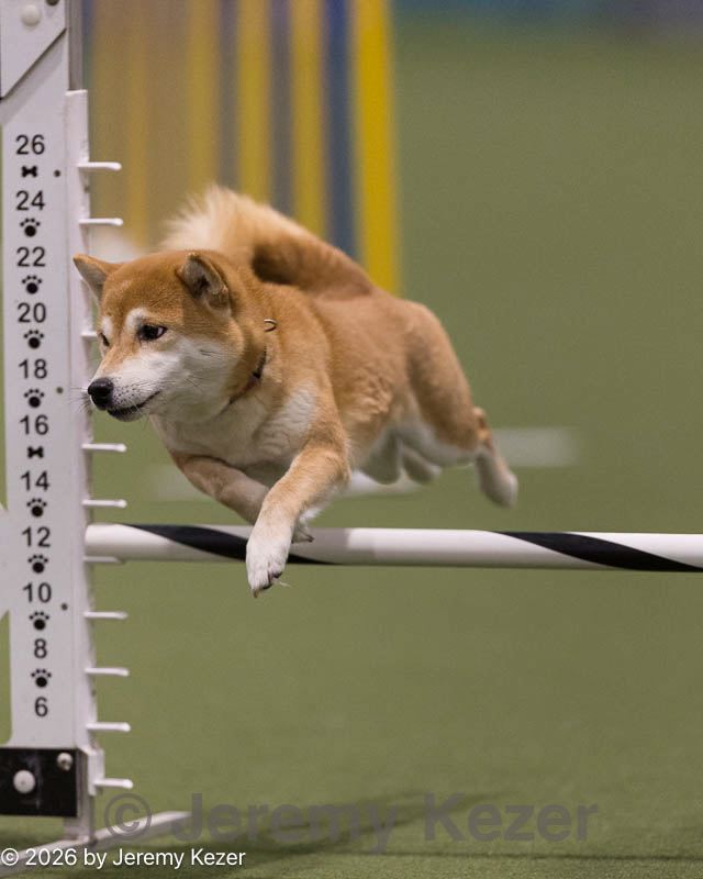 20260222-0442.jpg