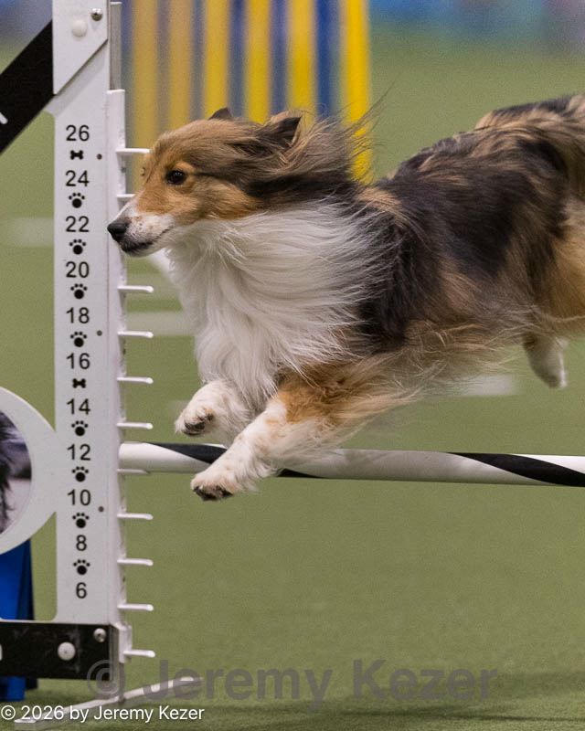 20260222-0462.jpg