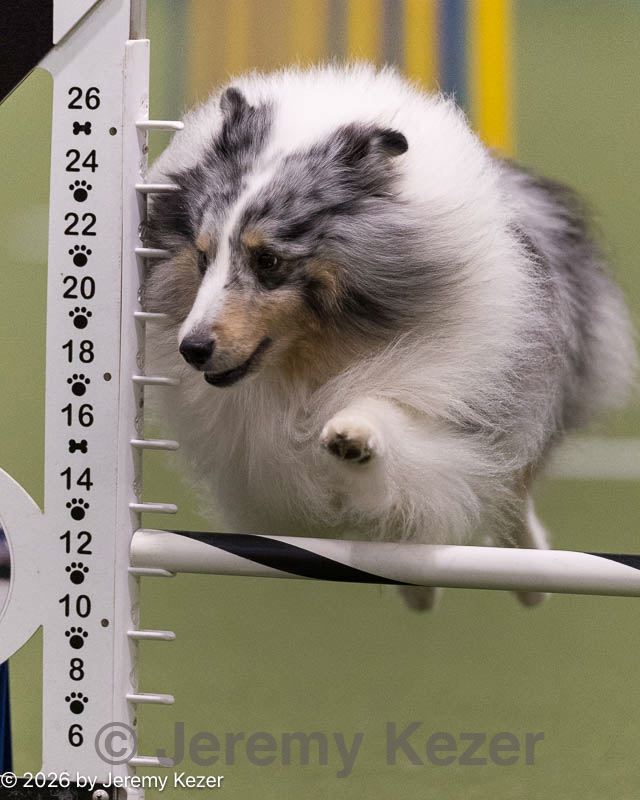 20260222-0474.jpg
