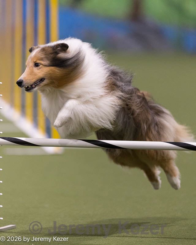 20260222-0372.jpg
