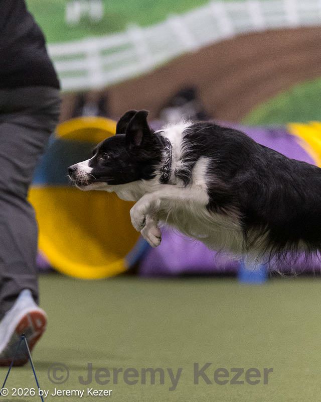 20260222-0348.jpg
