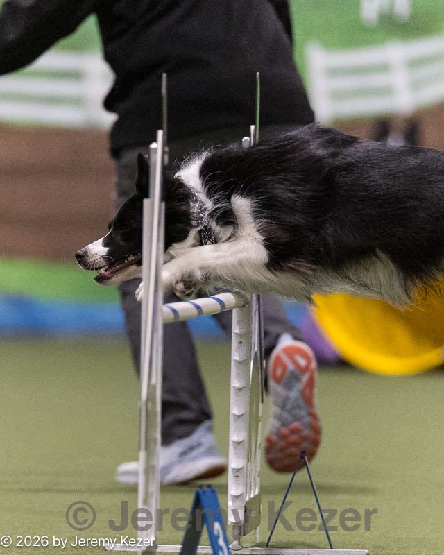 20260222-0349.jpg