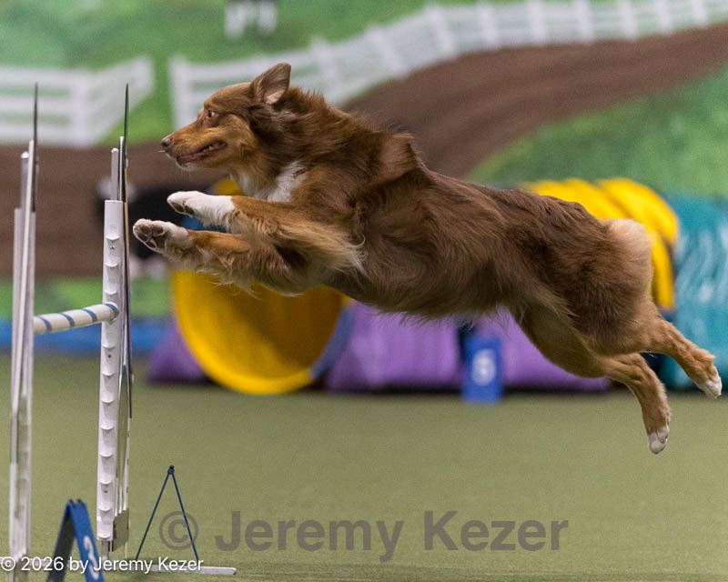 20260222-0363.jpg