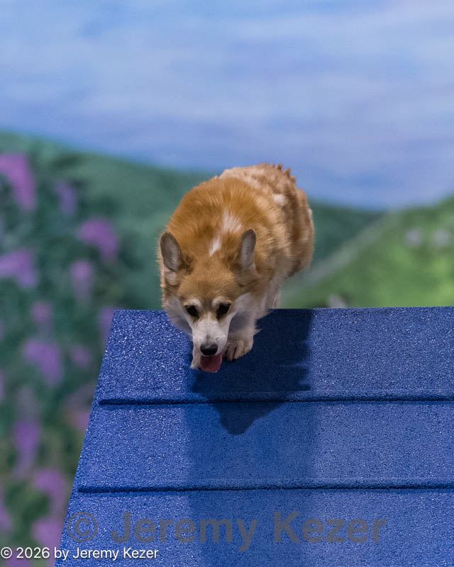 20260222-0305.jpg