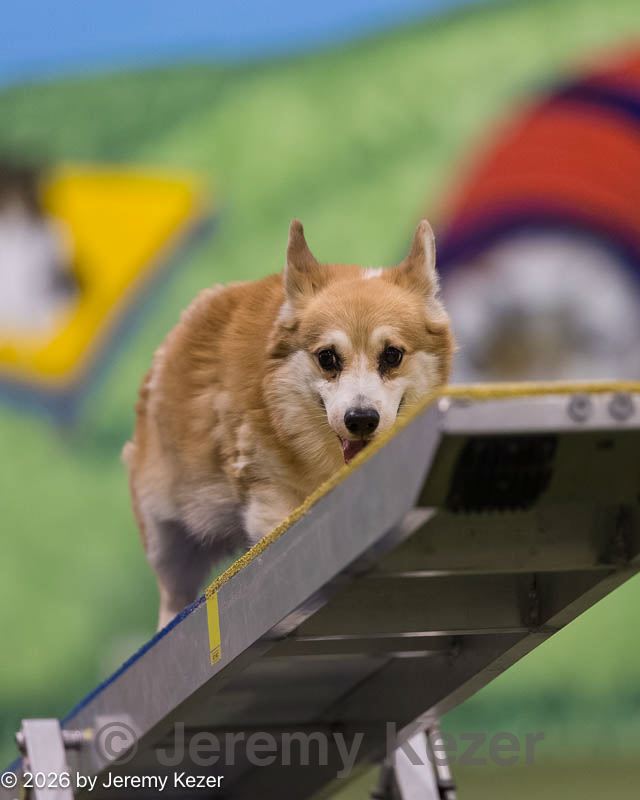 20260222-0307.jpg