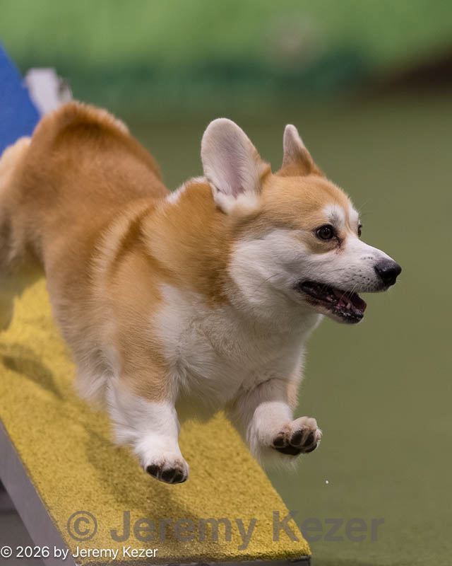 20260222-0318.jpg