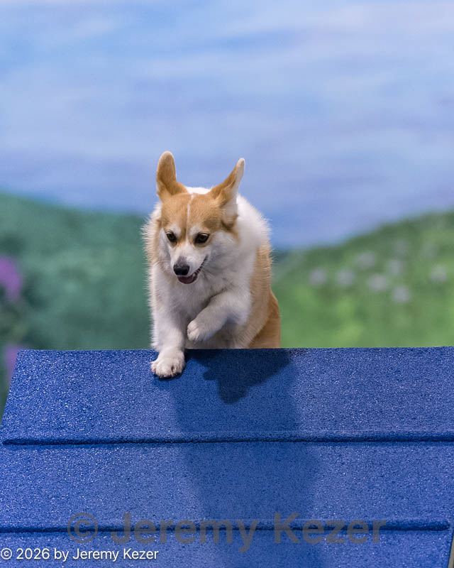 20260222-0258.jpg