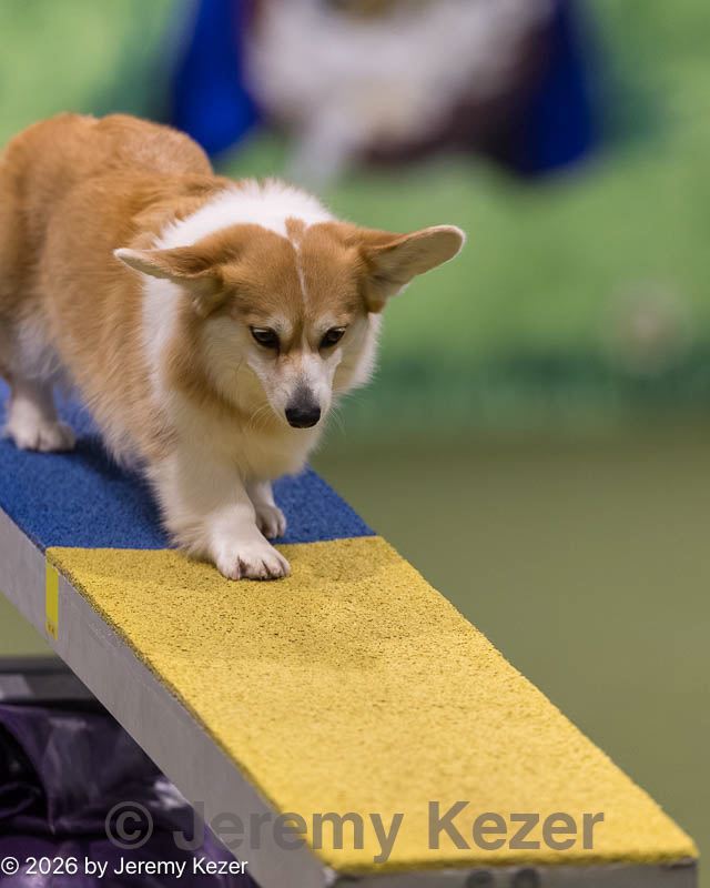 20260222-0261.jpg