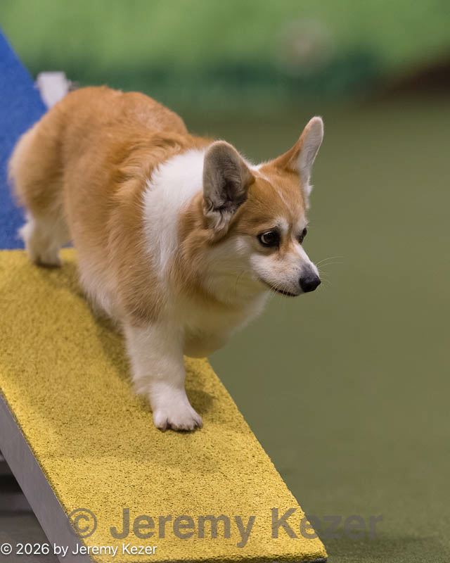 20260222-0263.jpg