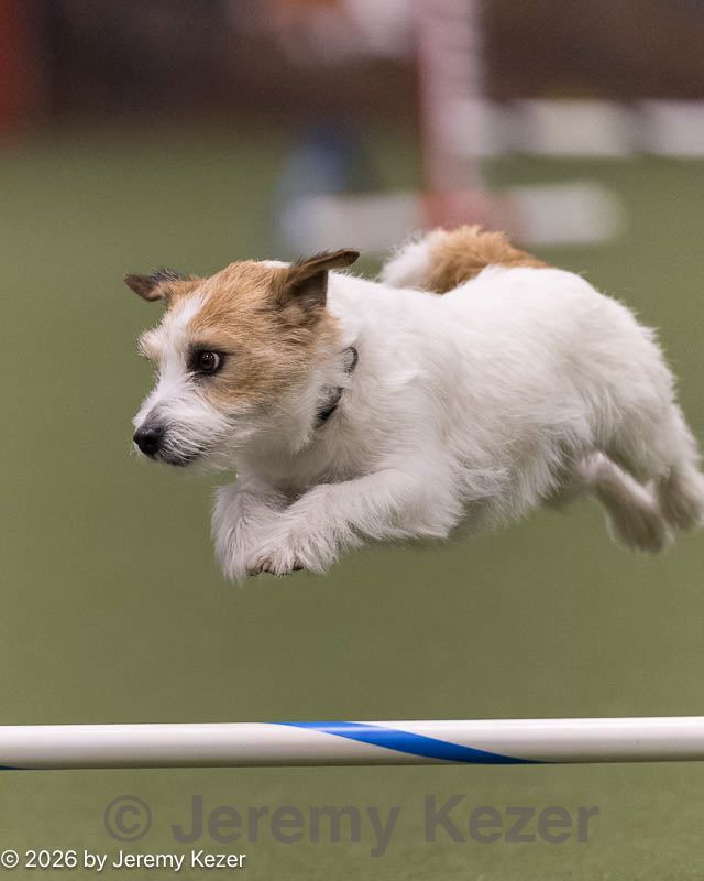 20260222-0271.jpg
