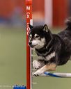 20260222-0169