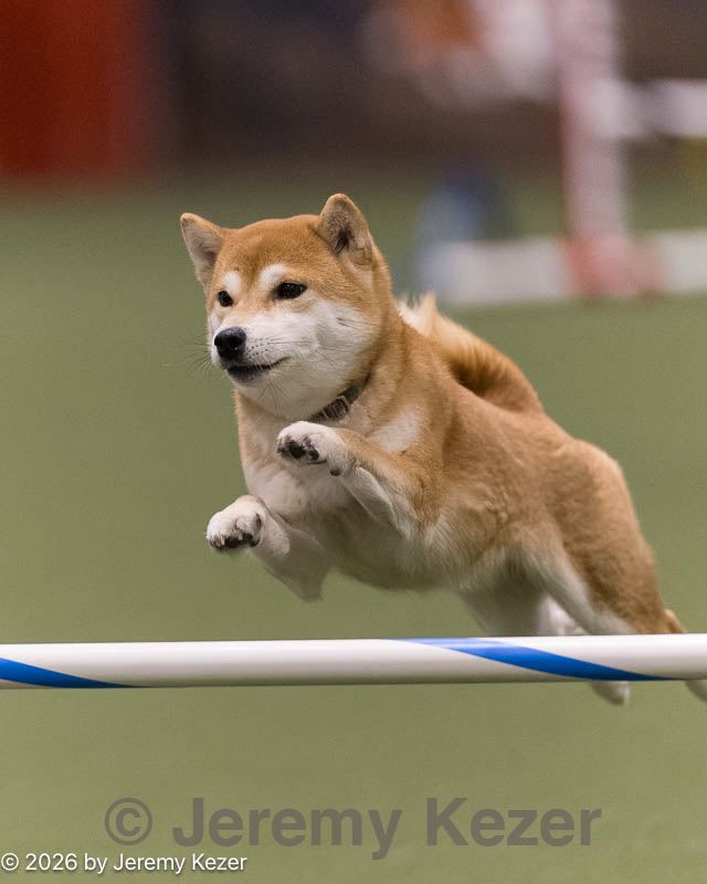 20260222-0154.jpg