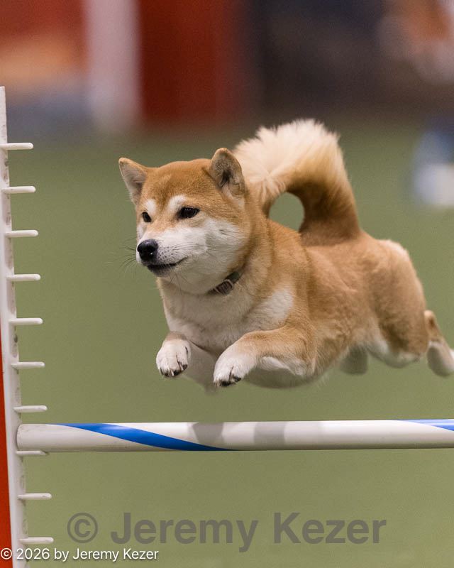 20260222-0155.jpg