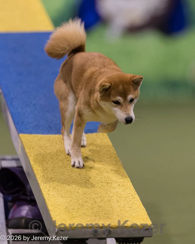 20260222-0156.jpg