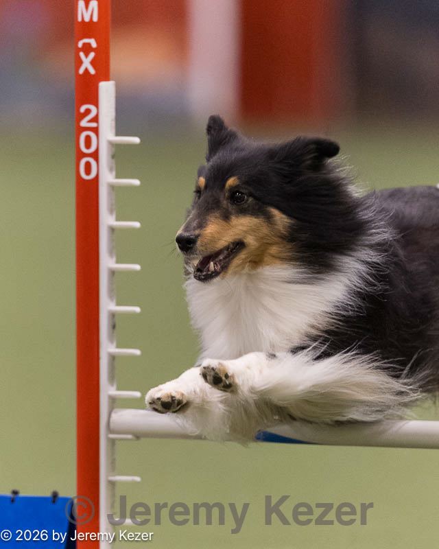 20260222-0179.jpg