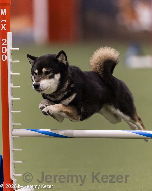 20260222-0183.jpg