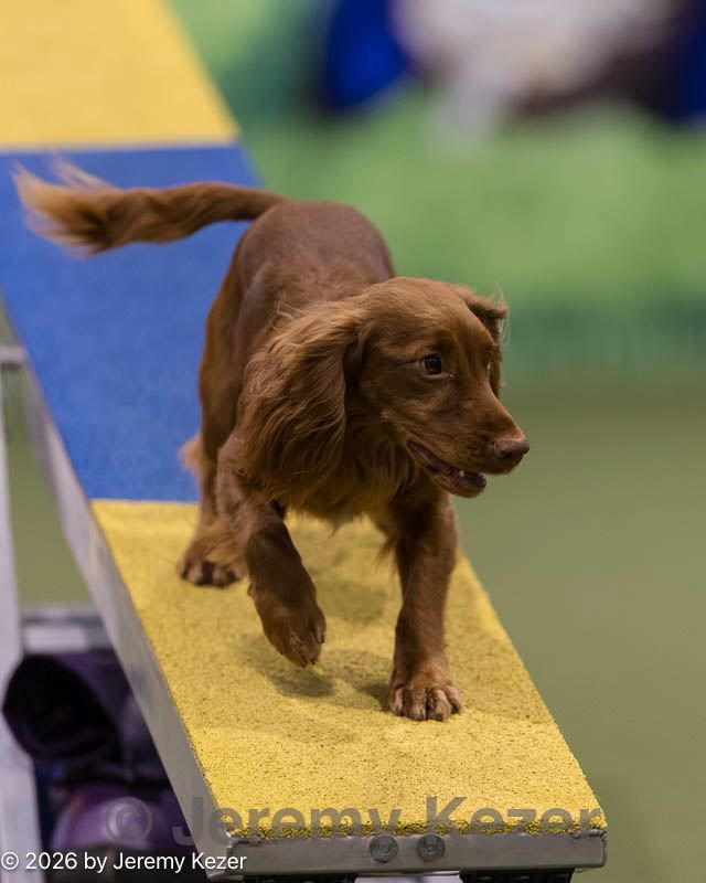 20260222-0189.jpg