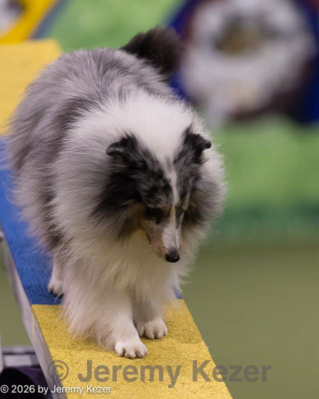 20260222-0197.jpg