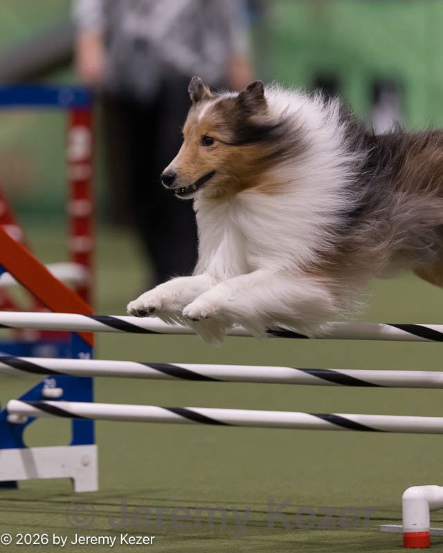 20260222-0050.jpg